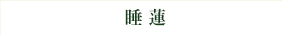 睡蓮
